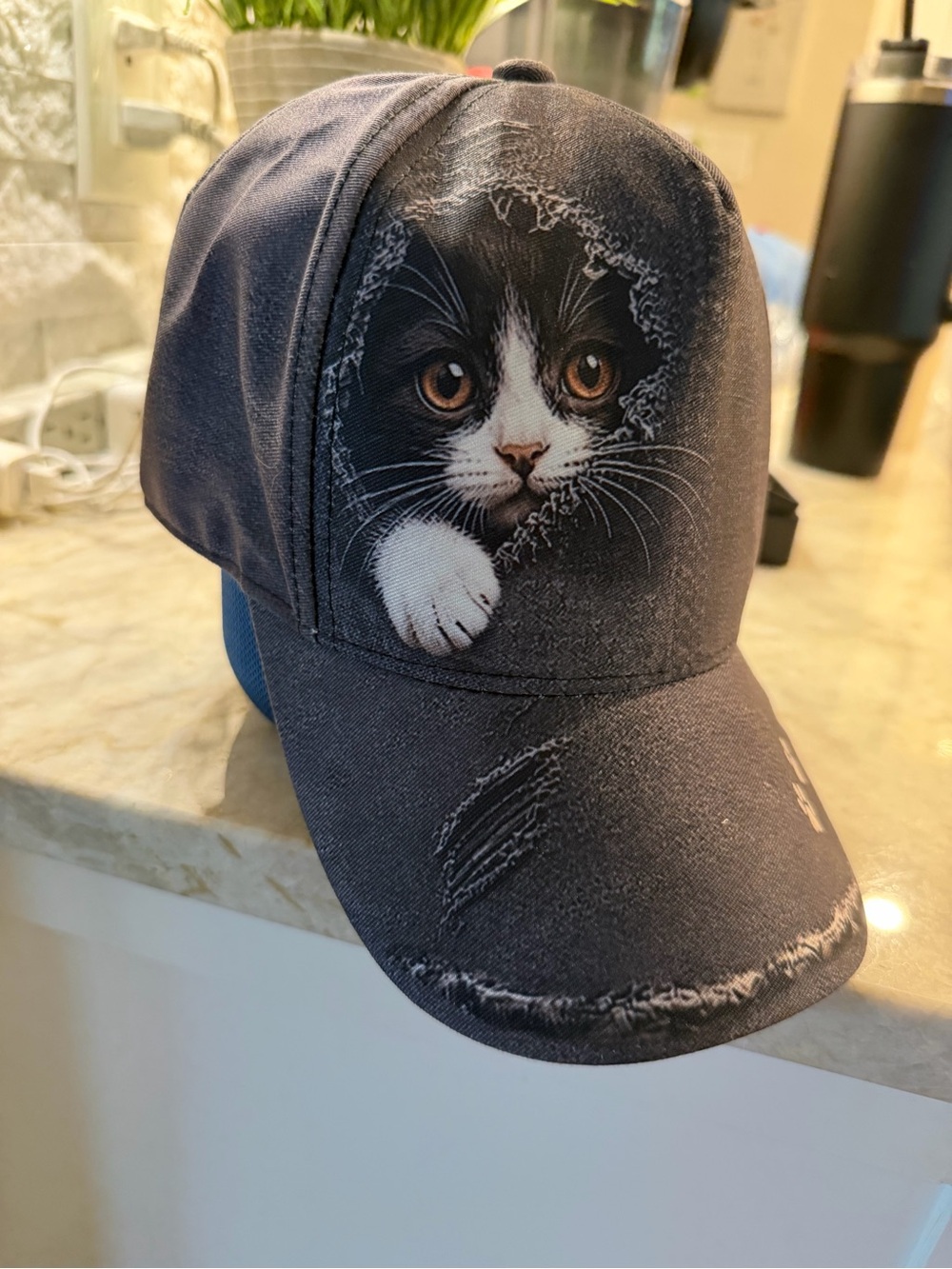 Cat Print Baseball Cap - Black - Unbranded